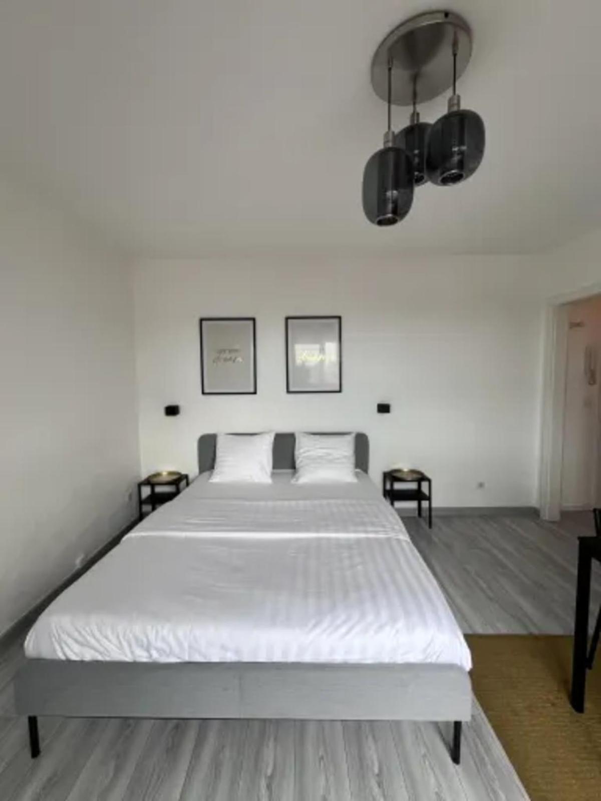 Cosy Rent Strasbourg Wifi Terrasse St Aloise Villa Exterior foto