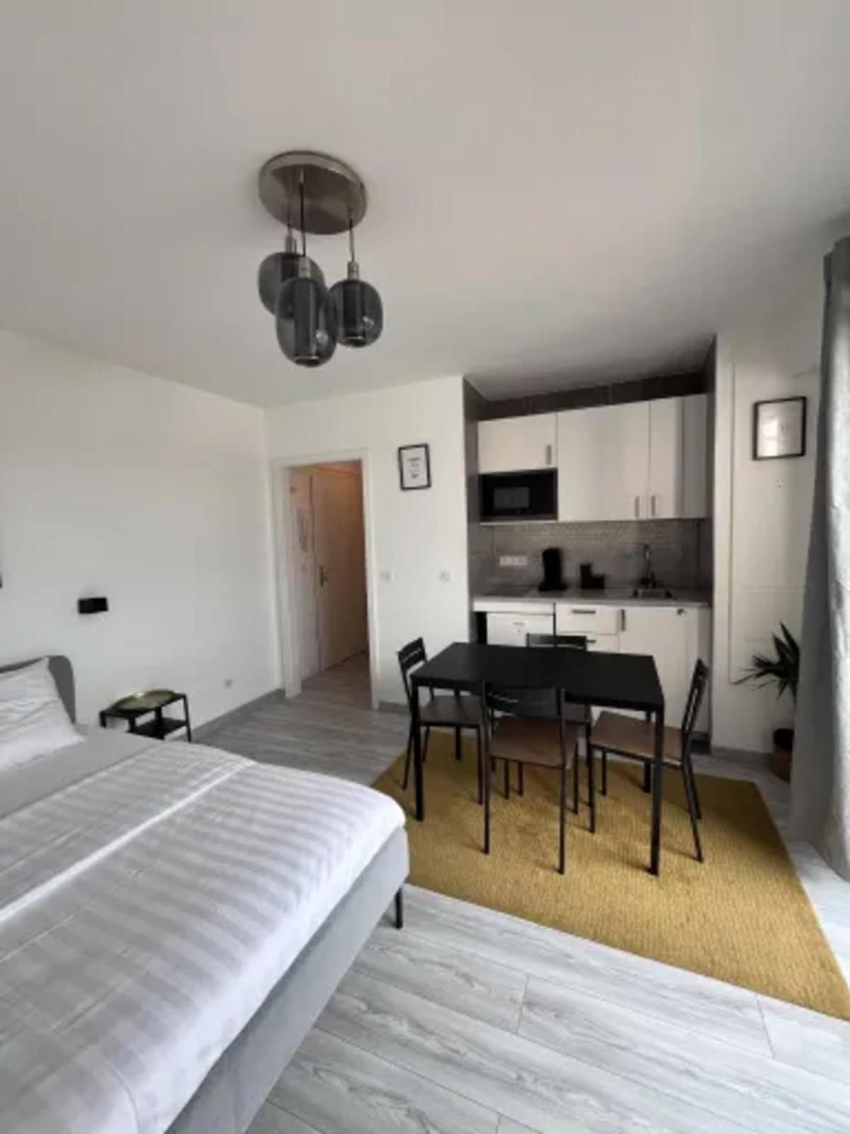 Cosy Rent Strasbourg Wifi Terrasse St Aloise Villa Exterior foto